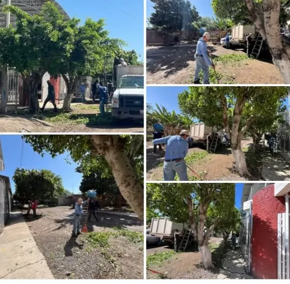 Fotografía de las acciones de Integración para el Bienestar en Tuxpan, Jalisco.